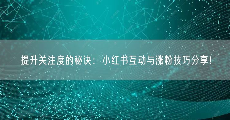 提升关注度的秘诀：小红书互动与涨粉技巧分享！