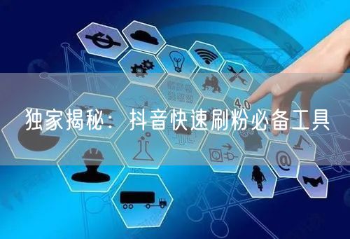 独家揭秘：抖音快速刷粉必备工具