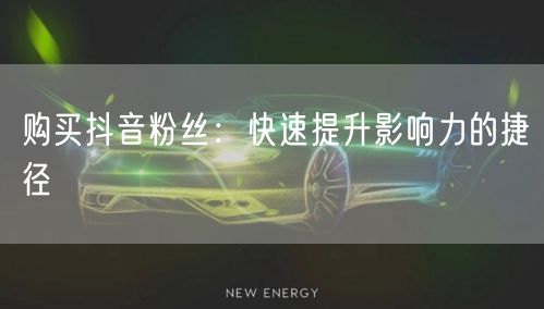 购买抖音粉丝：快速提升影响力的捷径