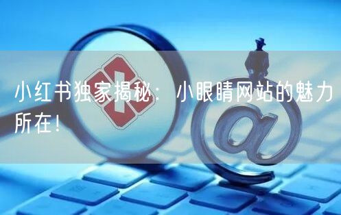小红书独家揭秘：小眼睛网站的魅力所在！