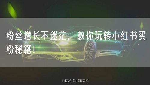 粉丝增长不迷茫，教你玩转小红书买粉秘籍！