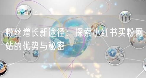 粉丝增长新途径：探索小红书买粉网站的优势与秘密