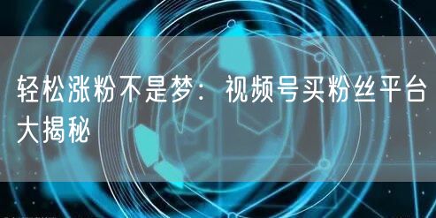 轻松涨粉不是梦：视频号买粉丝平台大揭秘