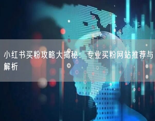 小红书买粉攻略大揭秘：专业买粉网站推荐与解析