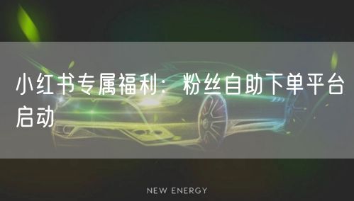 小红书专属福利：粉丝自助下单平台启动