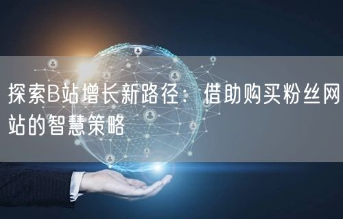 探索B站增长新路径：借助购买粉丝网站的智慧策略