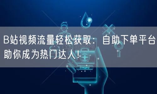 B站视频流量轻松获取：自助下单平台助你成为热门达人！
