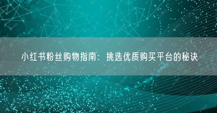 小红书粉丝购物指南：挑选优质购买平台的秘诀
