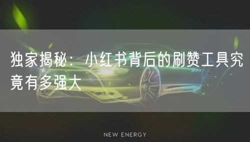 独家揭秘：小红书背后的刷赞工具究竟有多强