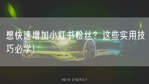 想快速增加小红书粉丝？这些实用技巧必学！