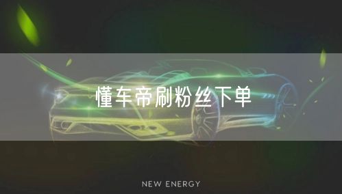 懂车帝刷粉丝下单