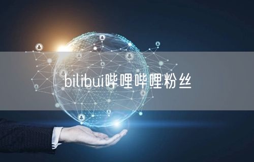 bilibui哔哩哔哩粉丝