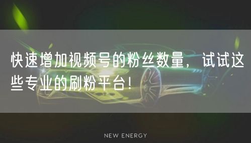 快速增加视频号的粉丝数量，试试这些专业的刷粉平台！