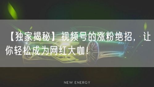 【独家揭秘】视频号的涨粉绝招，让你轻松成为网红大咖！