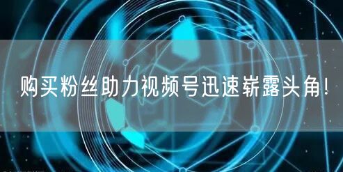 购买粉丝助力视频号迅速崭露头角！