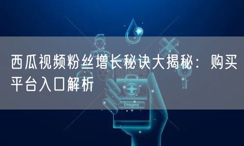 西瓜视频粉丝增长秘诀大揭秘：购买平台入口解析