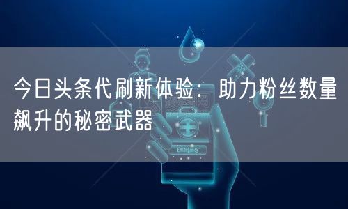 今日头条代刷新体验：助力粉丝数量飙升的秘密武器