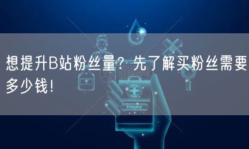 想提升B站粉丝量？先了解买粉丝需要多少钱！