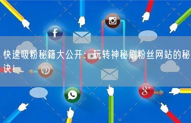 快速吸粉秘籍大公开：玩转神秘刷粉丝网站的