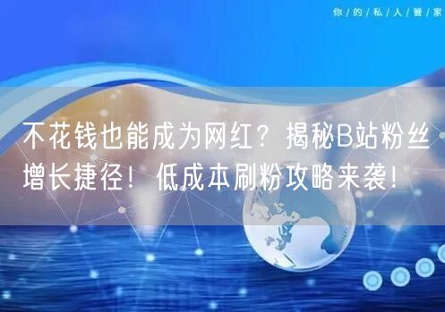 不花钱也能成为网红？揭秘B站粉丝增长捷径！低成本刷粉攻略来袭！