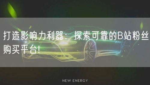 打造影响力利器：探索可靠的B站粉丝购买平台!