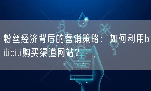 粉丝经济背后的营销策略：如何利用bilibili购买渠道网站？