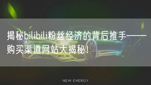 揭秘bilibili粉丝经济的背后推手——购买渠道网站大揭秘！