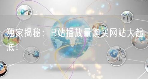 独家揭秘：B站播放量购买网站大起底！