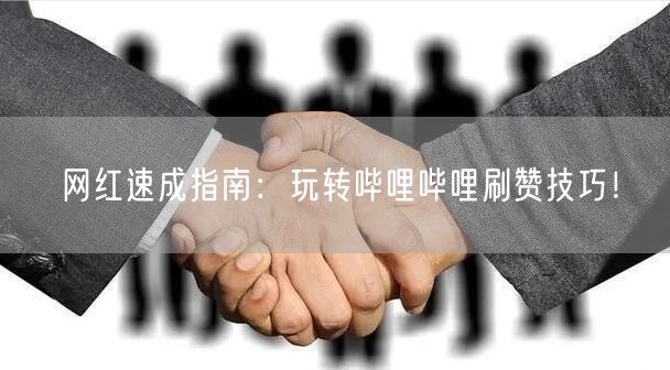 网红速成指南：玩转哔哩哔哩刷赞技巧！