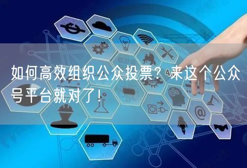 如何高效组织公众投票？来这个公众号平台就对了！