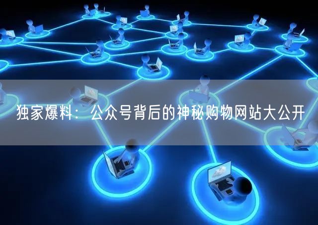 独家爆料：公众号背后的神秘购物网站大公开