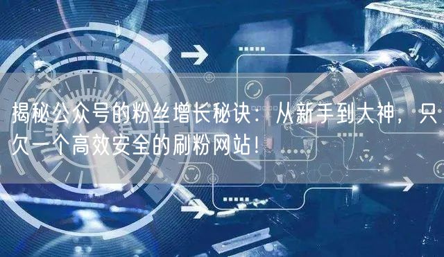 揭秘公众号的粉丝增长秘诀：从新手到大神，只欠一个高效安全的刷粉网站！